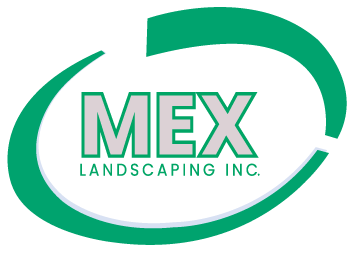 img/mex-landscaping-logo.png